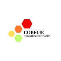 COBELIE logo - Similar company to Cibelia