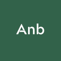 anb packing solution logo - Similar company to Viberons