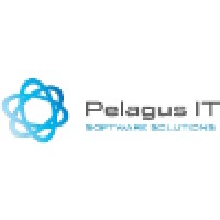 Pelagus IT d.o.o. logo - Similar company to 505 Solutions