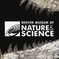 Denver Museum of Nature & Science logo - Similar company to Wings Over The Rockies Air & Space Museum