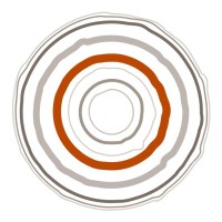 Red Cedar Investment Management, LLC logo - Similar company to Tillypay