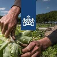 Ministerie van Landbouw, Visserij, Voedselzekerheid en Natuur logo - Similar company to Partnerprogramma De Circulaire Weg