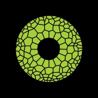 CHAMELEON logo - Similar company to Inam² Llc