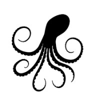 Coastal Sensing & Survey, LLC. logo - Similar company to Seaking Blue