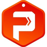 Pingheap logo - Similar company to Techcommerce Nigeria