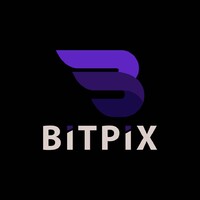 BitPix Soft logo - Similar company to Hostelx