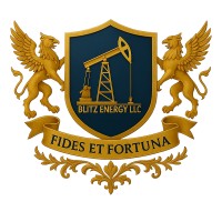 Blitz Energy, Inc. logo - Similar company to Truenorth Capital