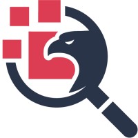 Nighthawk Strategies logo - Similar company to Csi Secure Solutions