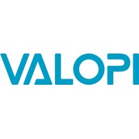 Valopi Oy Ltd logo - Similar company to Videopalat