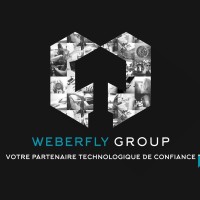 Weberfly Group logo - Similar company to First View