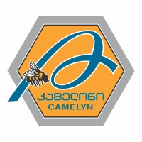 Camelyn logo - Similar company to Amaxa Ltd