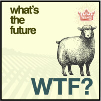 What'S The Future Mx