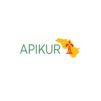 Association of the Petroleum Industry of Kurdistan (APIKUR) logo - Similar company to Hembana