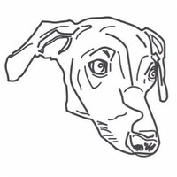 Bella and Frank logo - Similar company to The Paint Bar