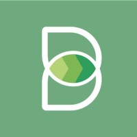 Buddyng logo - Similar company to Backstreetcompany