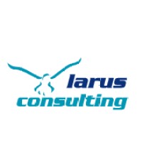 larus consulting logo - Similar company to Tailored For You Ltd