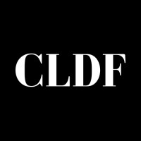 Clear Lakes Dental Franchise logo - Similar company to Docdentdigital