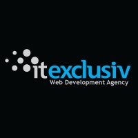 ITeXclusiv.ro - Full Service Web Agency logo - Similar company to Electronic 81