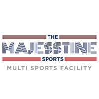 The Majesstine Sports logo - Similar company to Soft Finfactory Private Limited