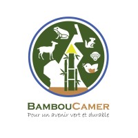 BambouCamer logo - Similar company to Evlos Ms Pvt. Ltd.