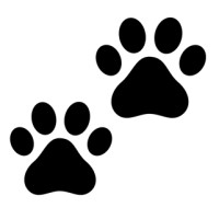 Nine Lives Counseling Service