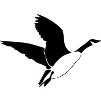 Ancae B.V. logo - Similar company to Ancae Tecnologia Ltda.