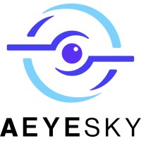 Aeyesky Inc logo - Similar company to Liberata