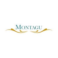 Montagu Property Services London Ltd logo - Similar company to Montagu Property Services