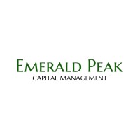 Emerald Peak Capital Management logo - Similar company to Emerald Peak Impact Capital