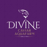 Northern Divine Aquafarms Ltd. logo - Similar company to Dr Delicacy