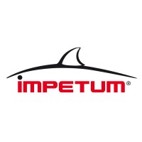 Impetum logo - Similar company to Nextmind