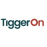 TiggerOn logo - Similar company to Workflow Secrets