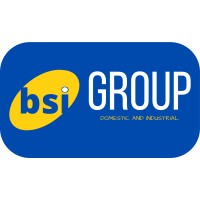 BSI Group Holdings logo - Similar company to Euromedical Instruments