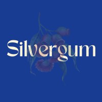 Silvergum Consulting logo - Similar company to Datareporter Gmbh
