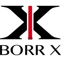 Borr X Entreprenad AB logo - Similar company to Desint Ab