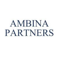 Ambina Partners logo - Similar company to Pemarketplace