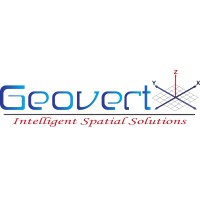 GeovertX logo - Similar company to Techwok Pvt Ltd
