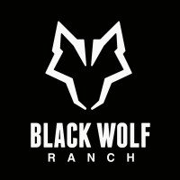 Black Wolf Ranch logo - Similar company to Texas Ranchers