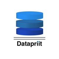 Datapriit_ng logo - Similar company to The Digiteer