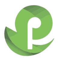 Pilea Engineering logo - Similar company to Tunnel And Bridge Technologies Sl