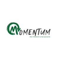 Momentum Atık Yönetimi logo - Similar company to Hnc Çevre Atık Yönetimi Ve Danışmanlık Ltd. Şti.