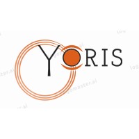 YORIS - Young Ophthalmologists Retinal Imaging Society logo - Similar company to Inspireimg