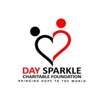 Day Sparkle Foundation logo - Similar company to Universe Advanced Technologies