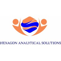 Hexagon Analytical Solutions Pvt. Ltd. logo - Similar company to Hexagonal Consulting