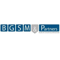 BGSM & Partners logo - Similar company to Frantoio Gabriele