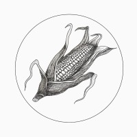 Maÿs logo - Similar company to Alles Over Groenbeheer