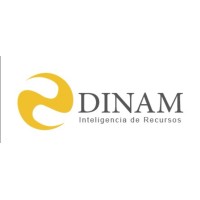 DINAM logo - Similar company to Rising Brokers