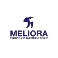 Meliora Finance and Investment Group logo - Similar company to C.L. King & Associates