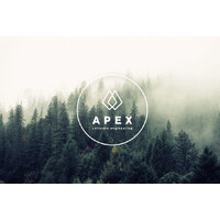 Apex Software Engineering logo - Similar company to Finance Solutions