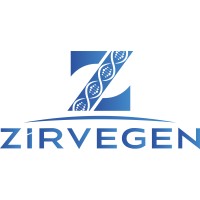 Zirvegen logo - Similar company to Iccd